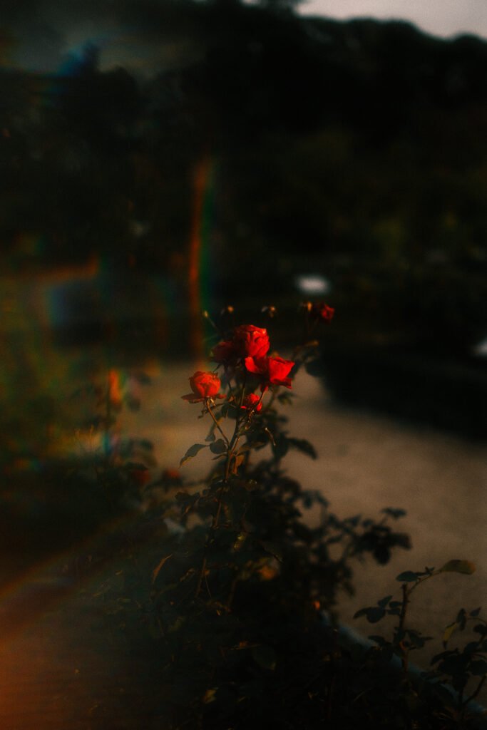 dscf9048